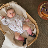 Fofo c/gola Tarte de Amêndoa