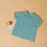 Camisa Vichy verde