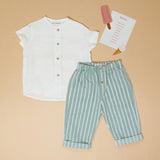 Look calças kiwi c/ camisa linho